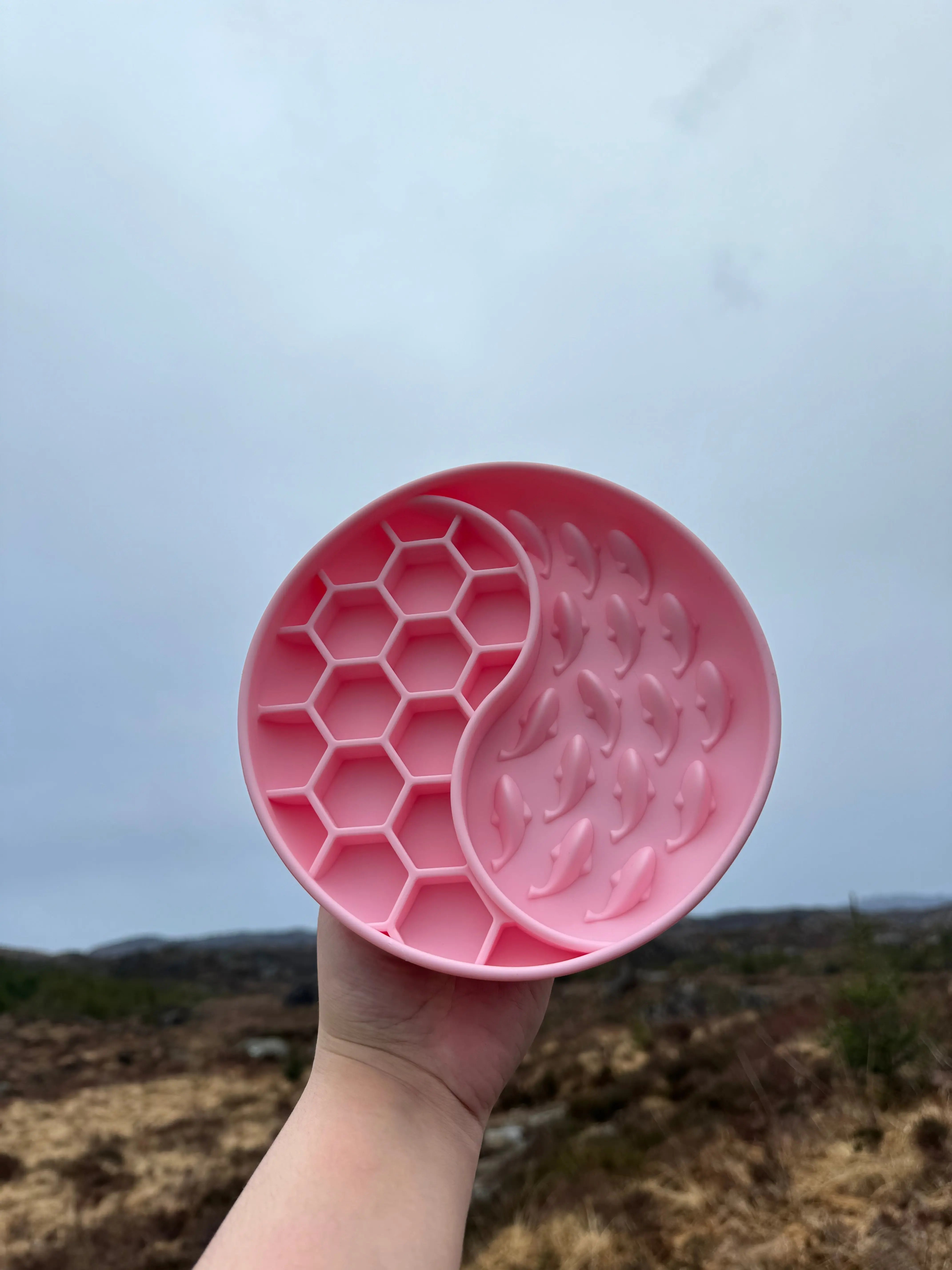 Hval slowfeeder  |  Pawesomeday