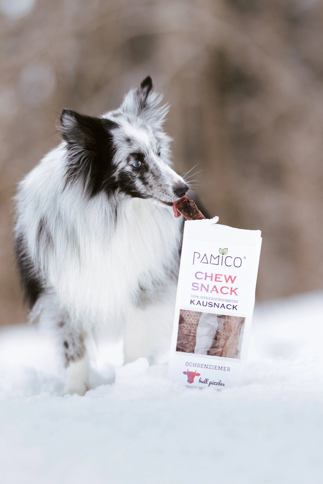 Frysetørket okse-pizzle – Naturlig og langvarig tygg til hund I Pamico  |  Pawesomeday.no