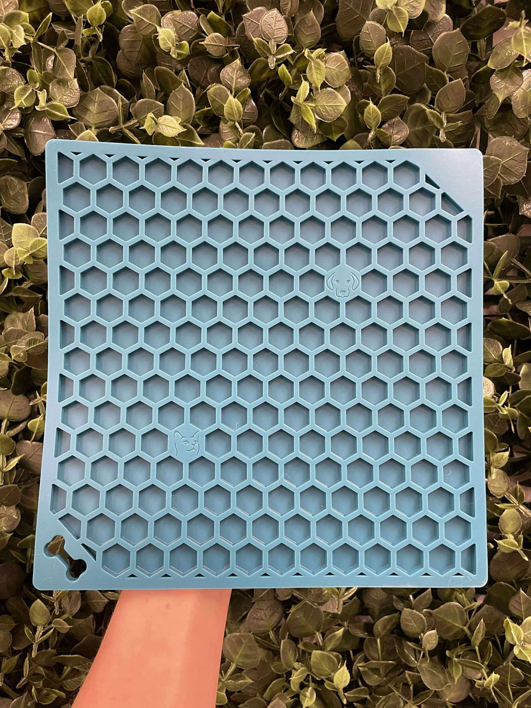 Honning Lickmat I Pawesomeday  |  Pawesomeday.no