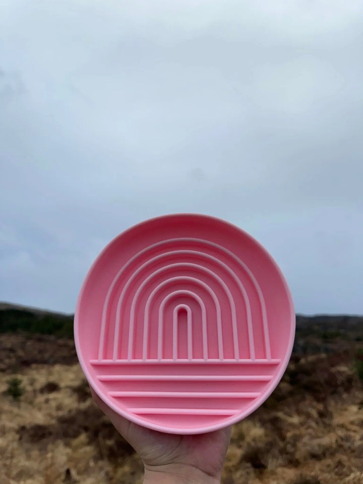 Regnbue slowfeeder  |  Pawesomeday