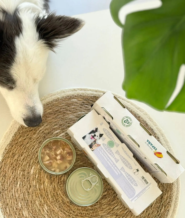 Kokt makrell på boks – Naturlig topping til hund og katt (3 x 70 g) | Pawesomeday.no  |  Pawesomeday.no