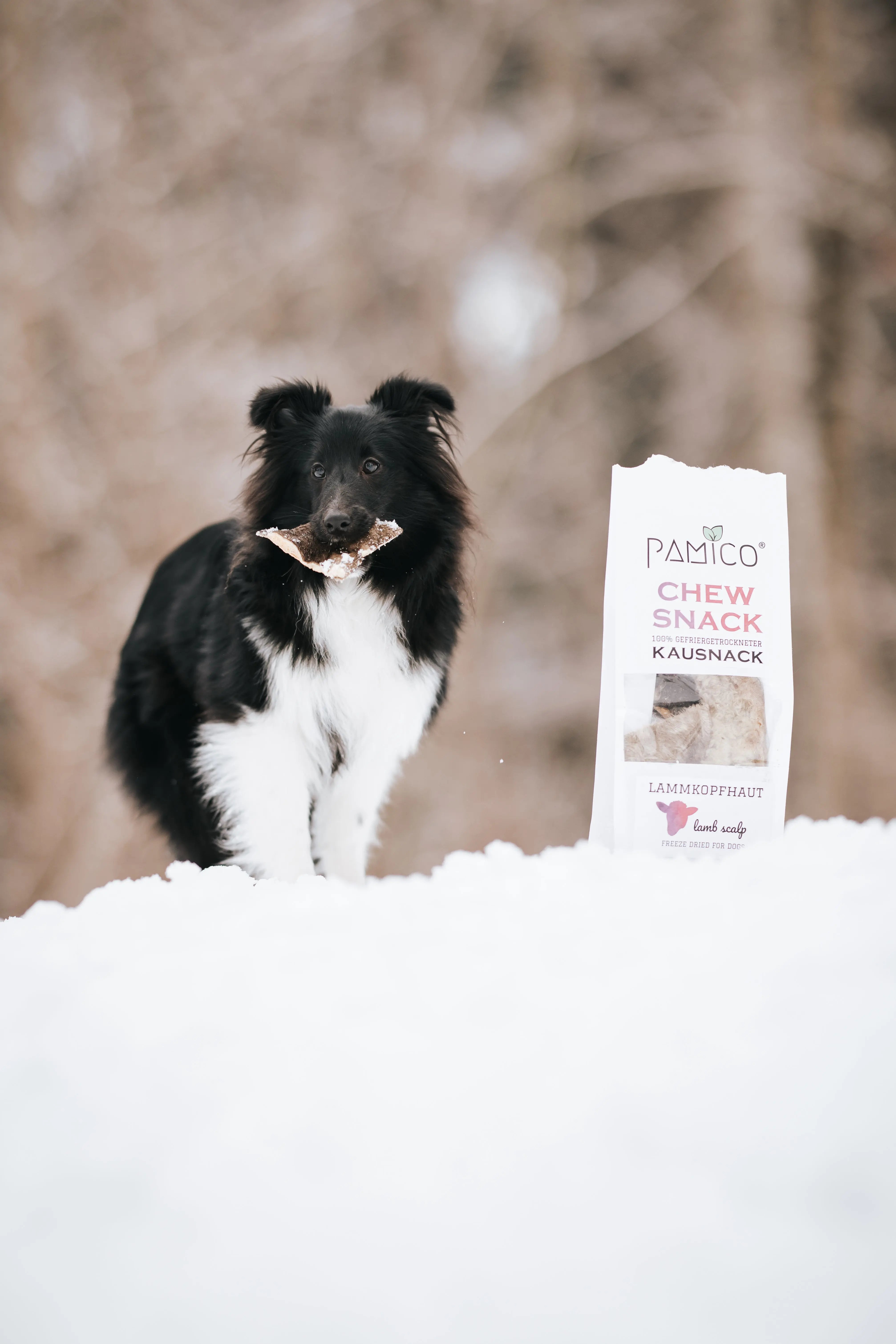 Frysetørket lammepanne med pels I Naturlig og smakfult tygg til hund I Pamico  |  Pawesomeday.no