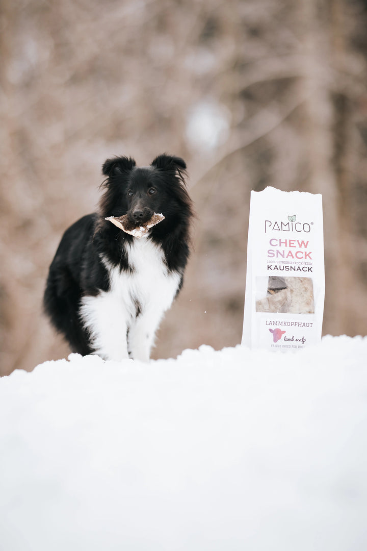 Frysetørket lammepanne med pels I Naturlig og smakfult tygg til hund I Pamico  |  Pawesomeday.no