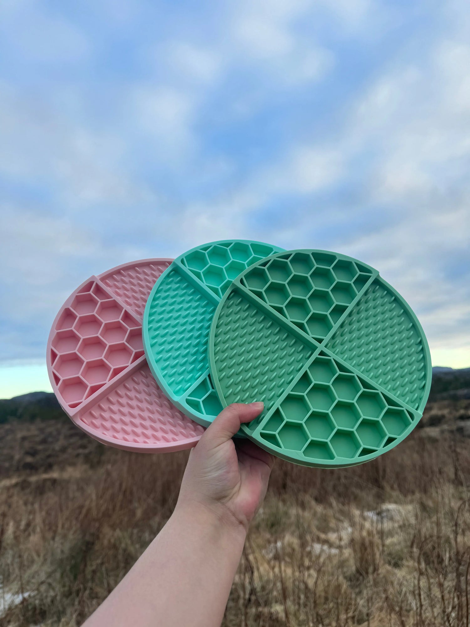 Slowfeeder og slikkematte med sugekopp  |  Pawesomeday