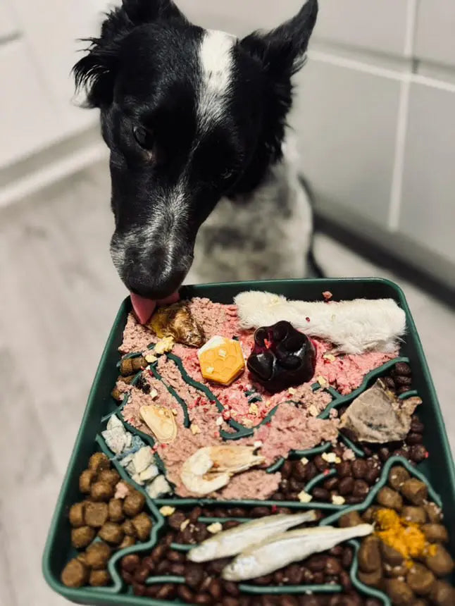 Wanderlust slowfeeder | Slowfeeder til stor hund  |  Pawesomeday.no