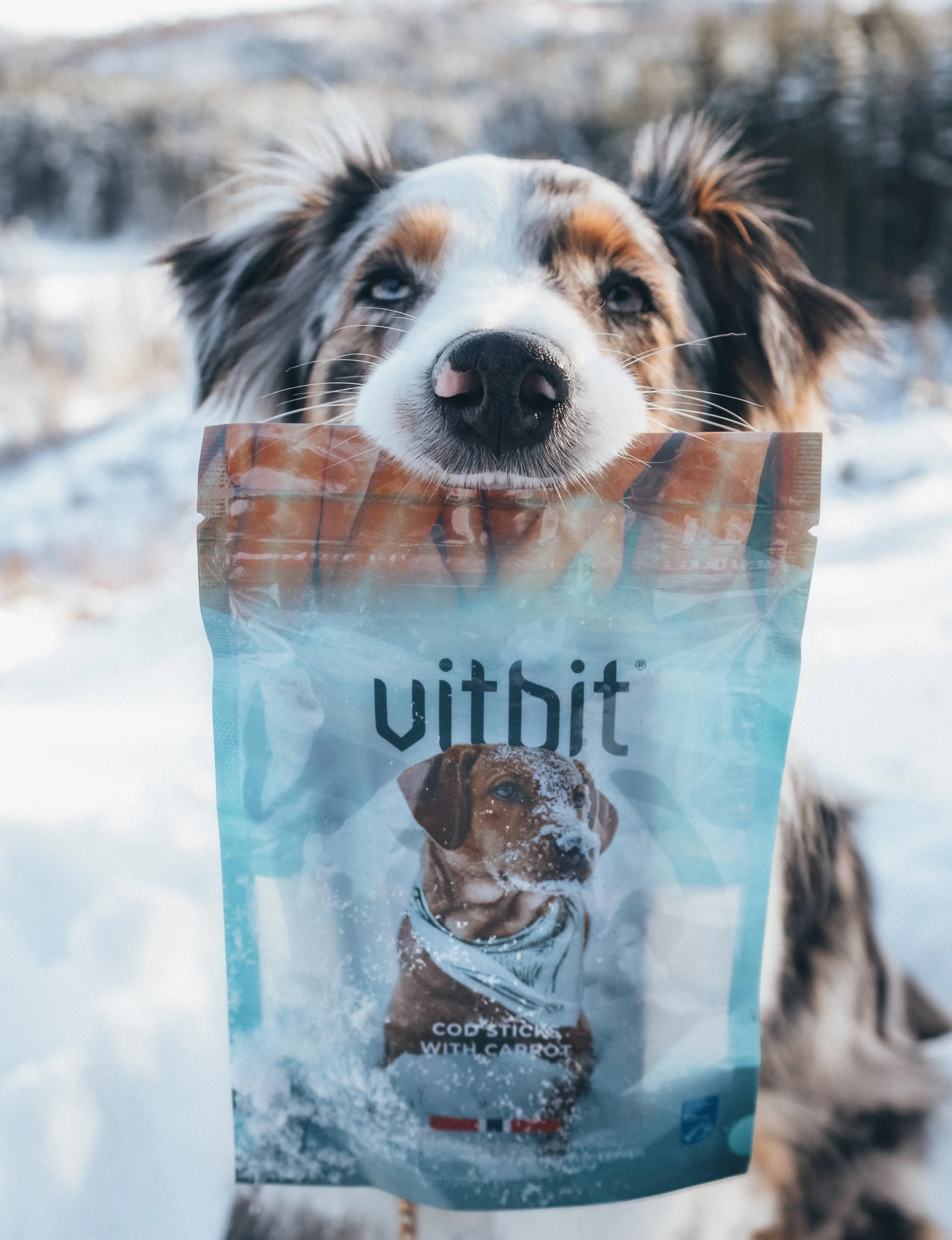 Vitbit Torske Sticks M/Gulrot 100g  |  Pawesomeday