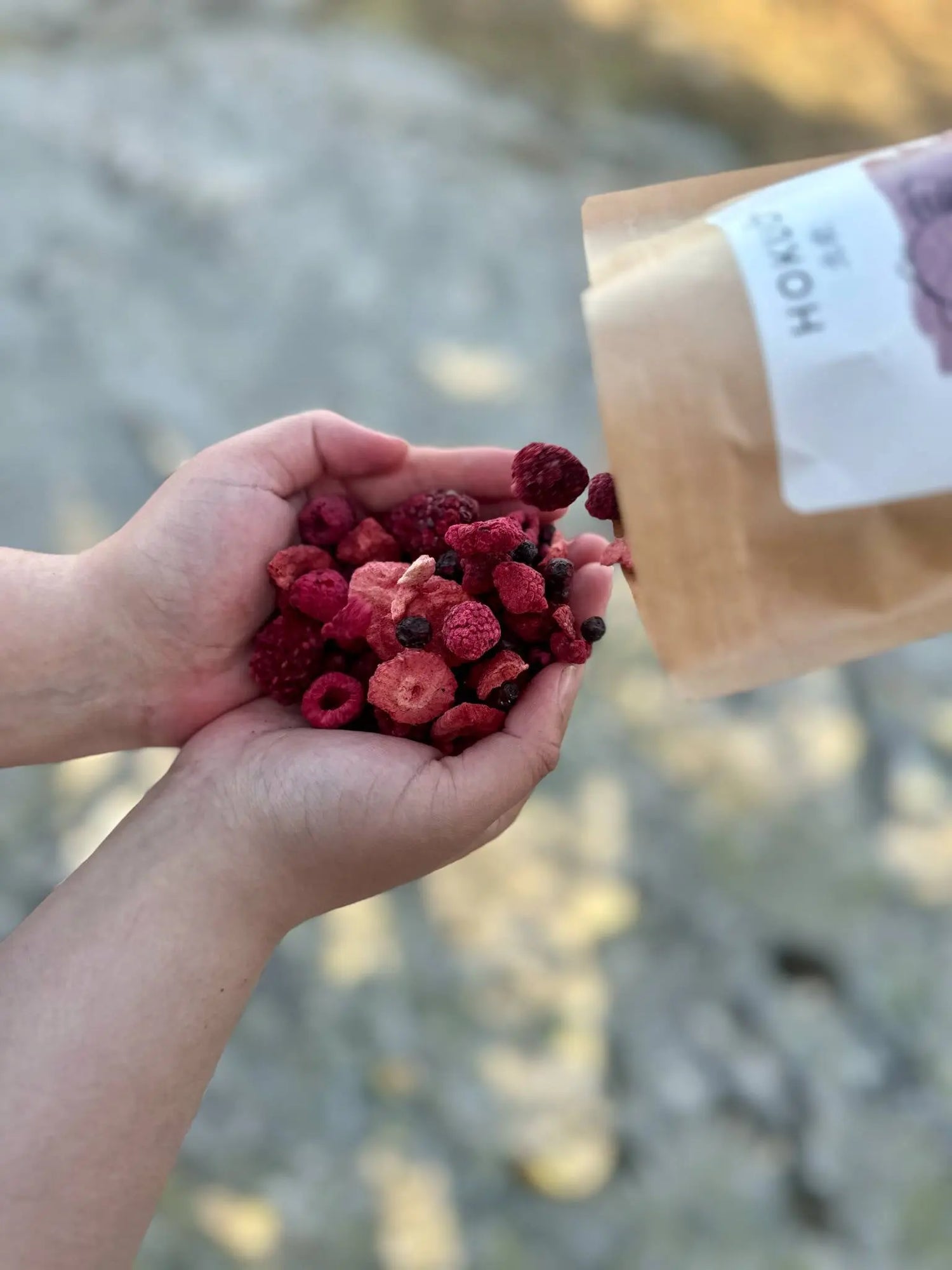 Hokuō® Mori no Berī – frysetørkede bær - 50g 🍓🌿  |  Pawesomeday.no