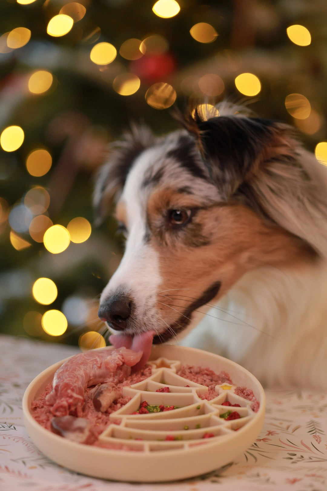 Juletre slowfeeder  |  Pawesomeday.no