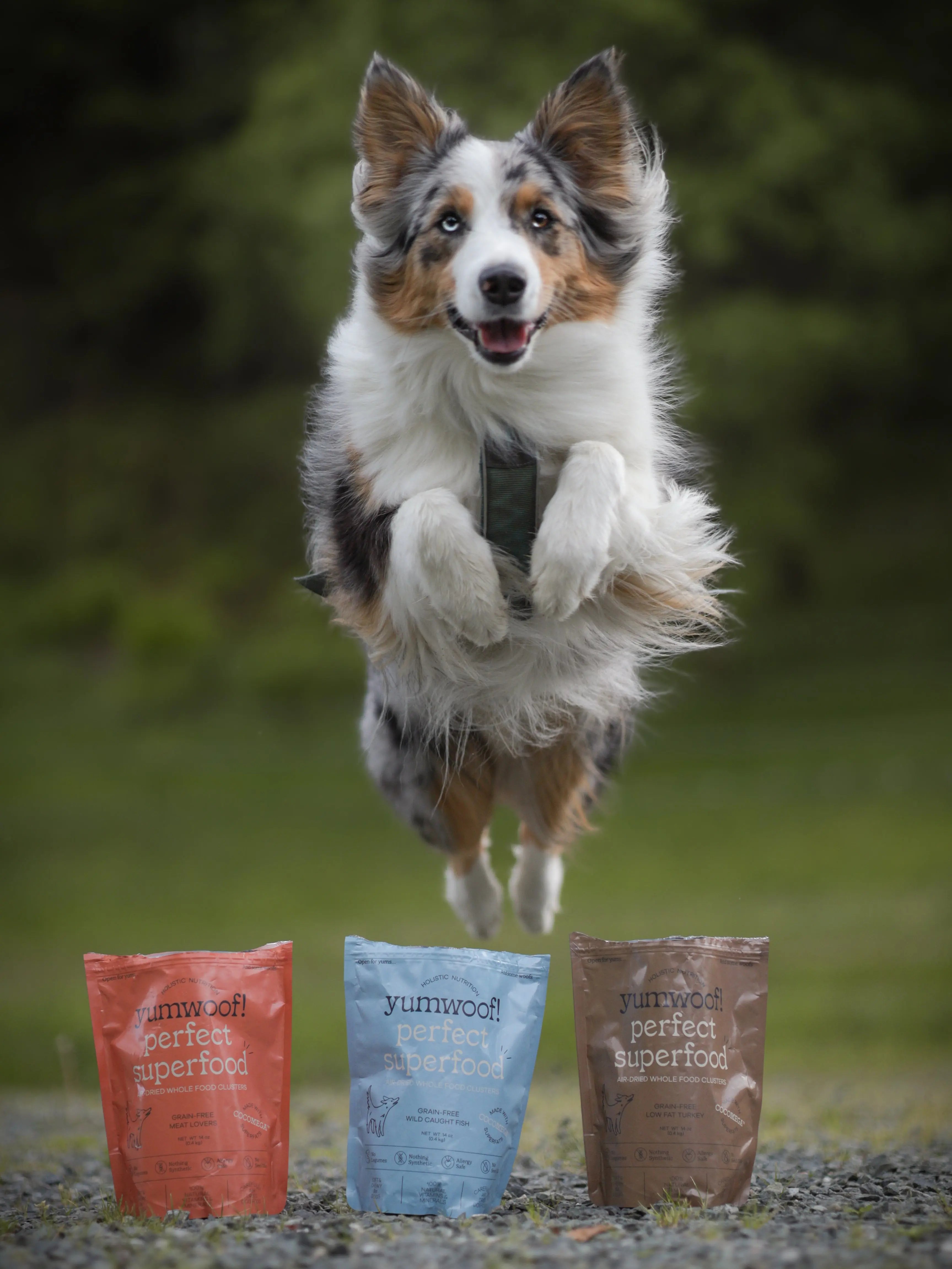 Yumwoof Perfect Superfood - Low fat turkey  |  Pawesomeday.no