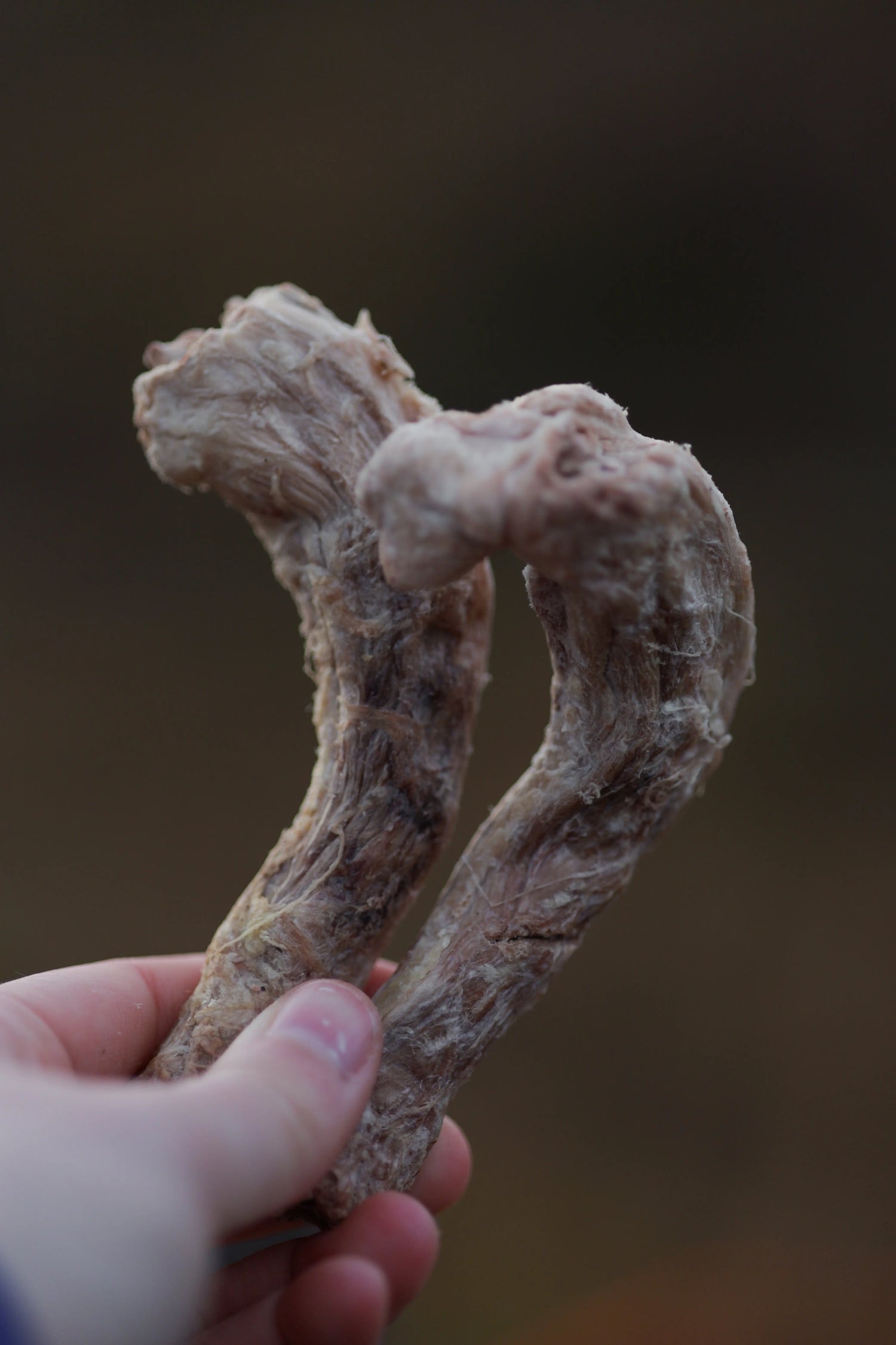 Ekstra frittgående frysetørkede kyllingnakker - 200g - Hokuō®  |  Pawesomeday.no