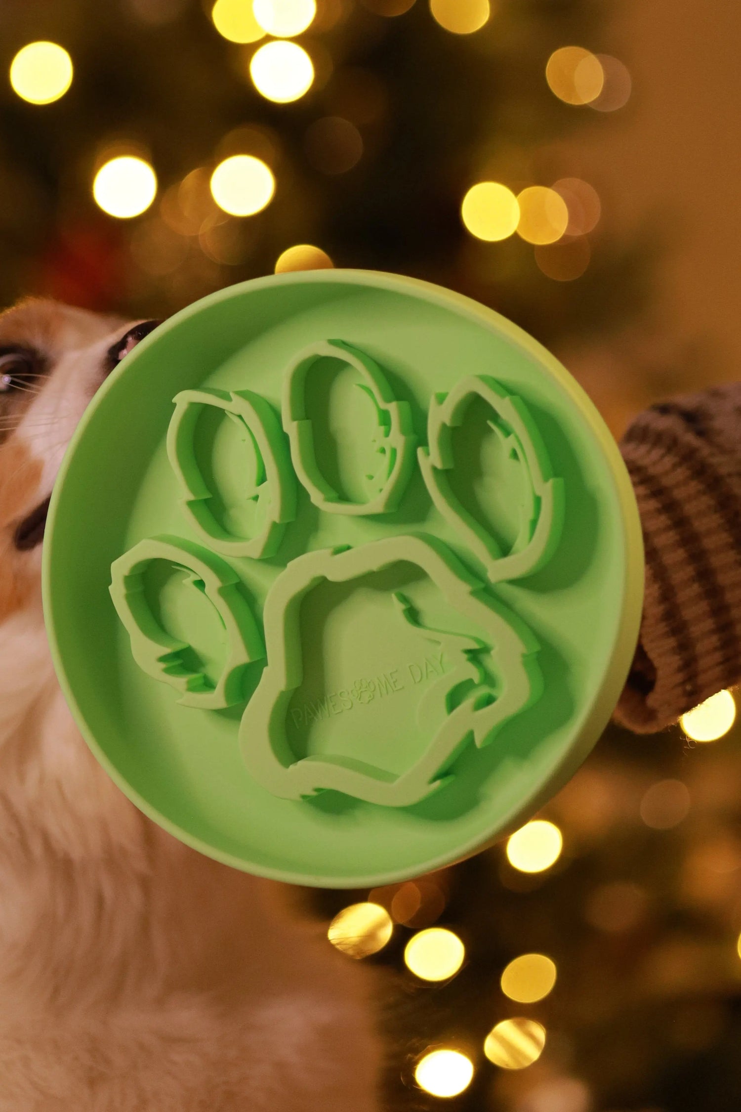 Pawesomeday slowfeeder | Slowfeeder til hund  |  Pawesomeday.no