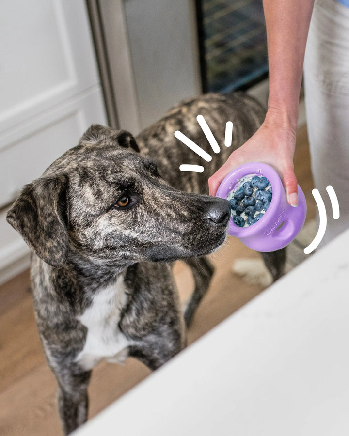 TOPPL Treat Toy Lilla - West Paw  |  Pawesomeday.no