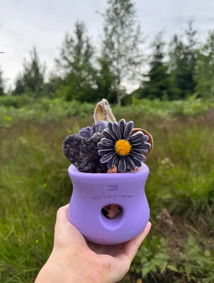 Toppl lilla | Toppl lavendel