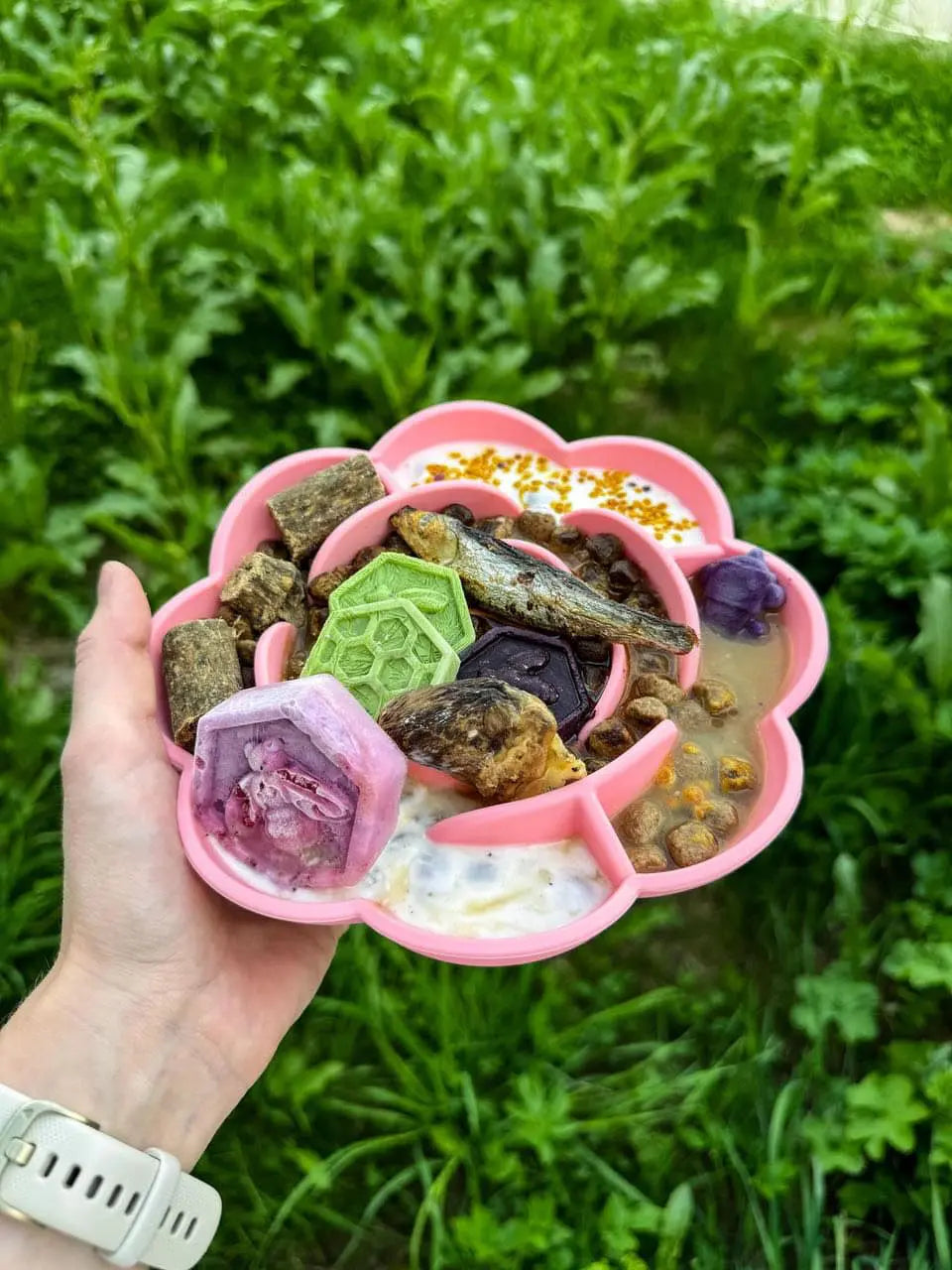 Rose slowfeeder til hund  |  Pawesomeday.no