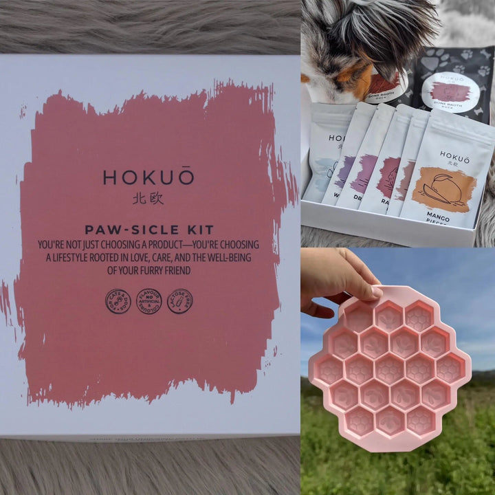 Sommerpakke | Paw-sicle kit + GRATIS valgfri isbitform |  |  Pawesomeday.no