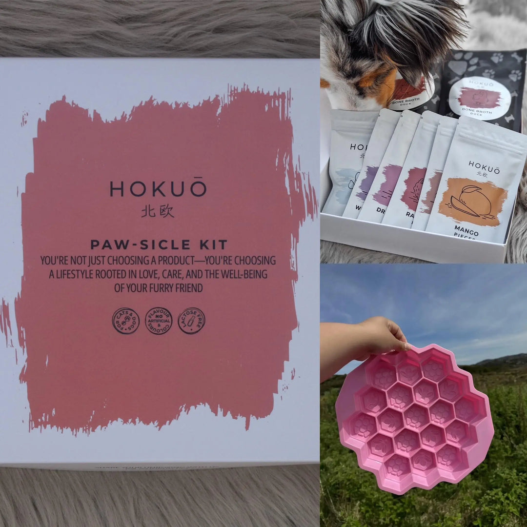 Sommerpakke | Paw-sicle kit + GRATIS valgfri isbitform |  |  Pawesomeday.no