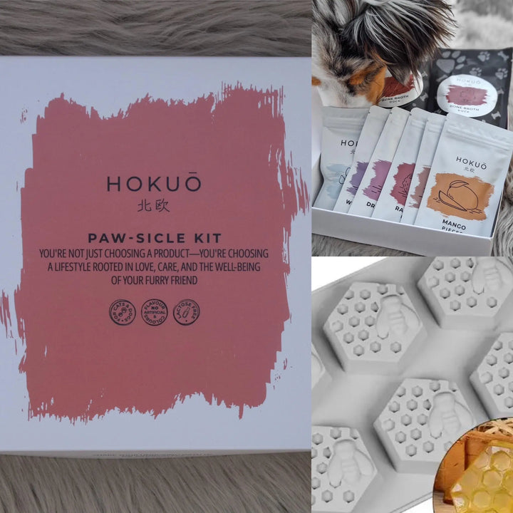 Sommerpakke | Paw-sicle kit + GRATIS valgfri isbitform |  |  Pawesomeday.no