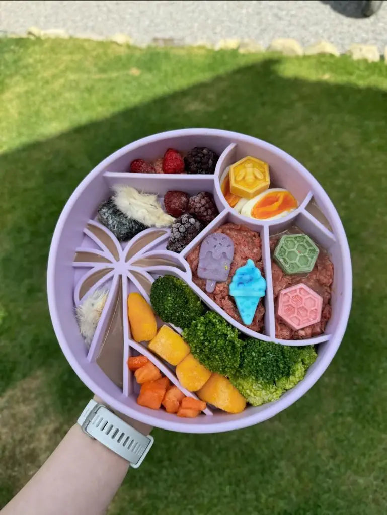 Loco coco slowfeeder til hund