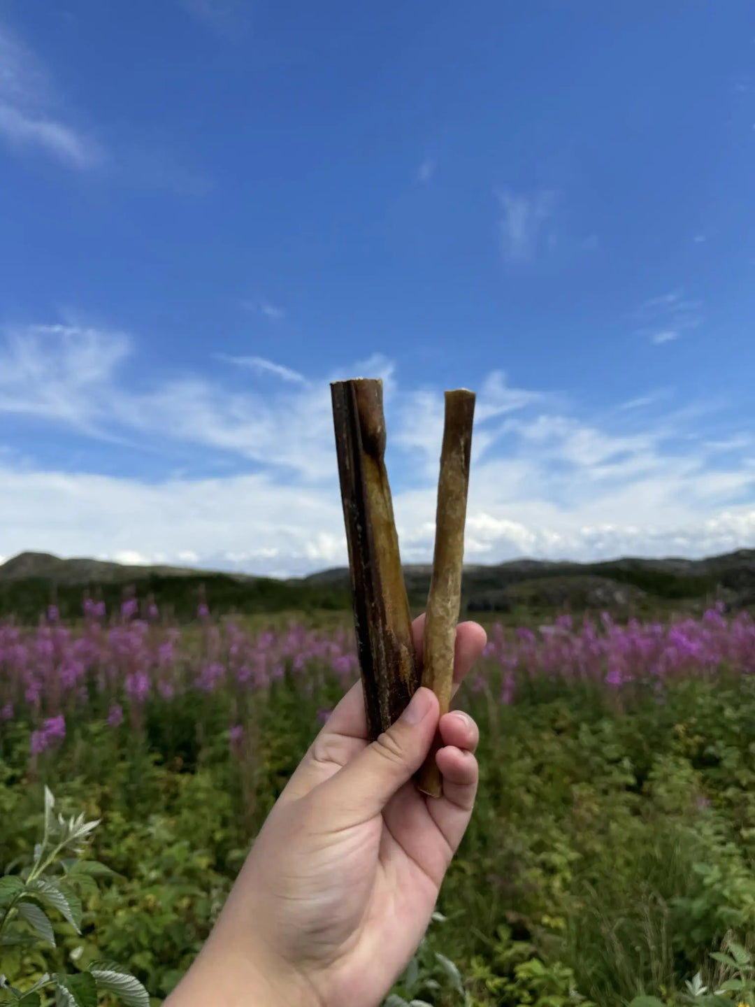 Deer skin, rolled  |  Pawesomeday.no