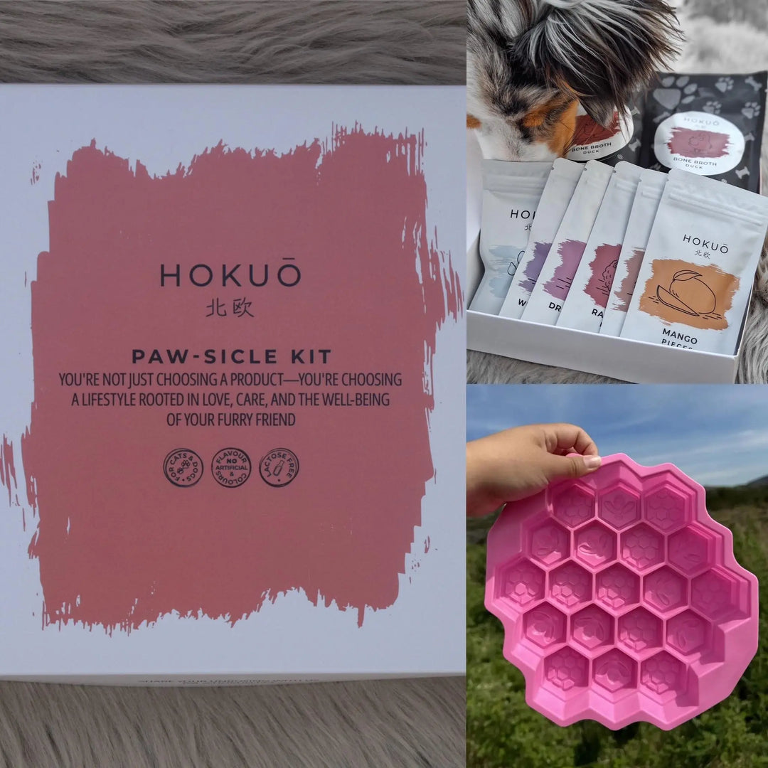 Sommerpakke | Paw-sicle kit + GRATIS valgfri isbitform |  |  Pawesomeday.no