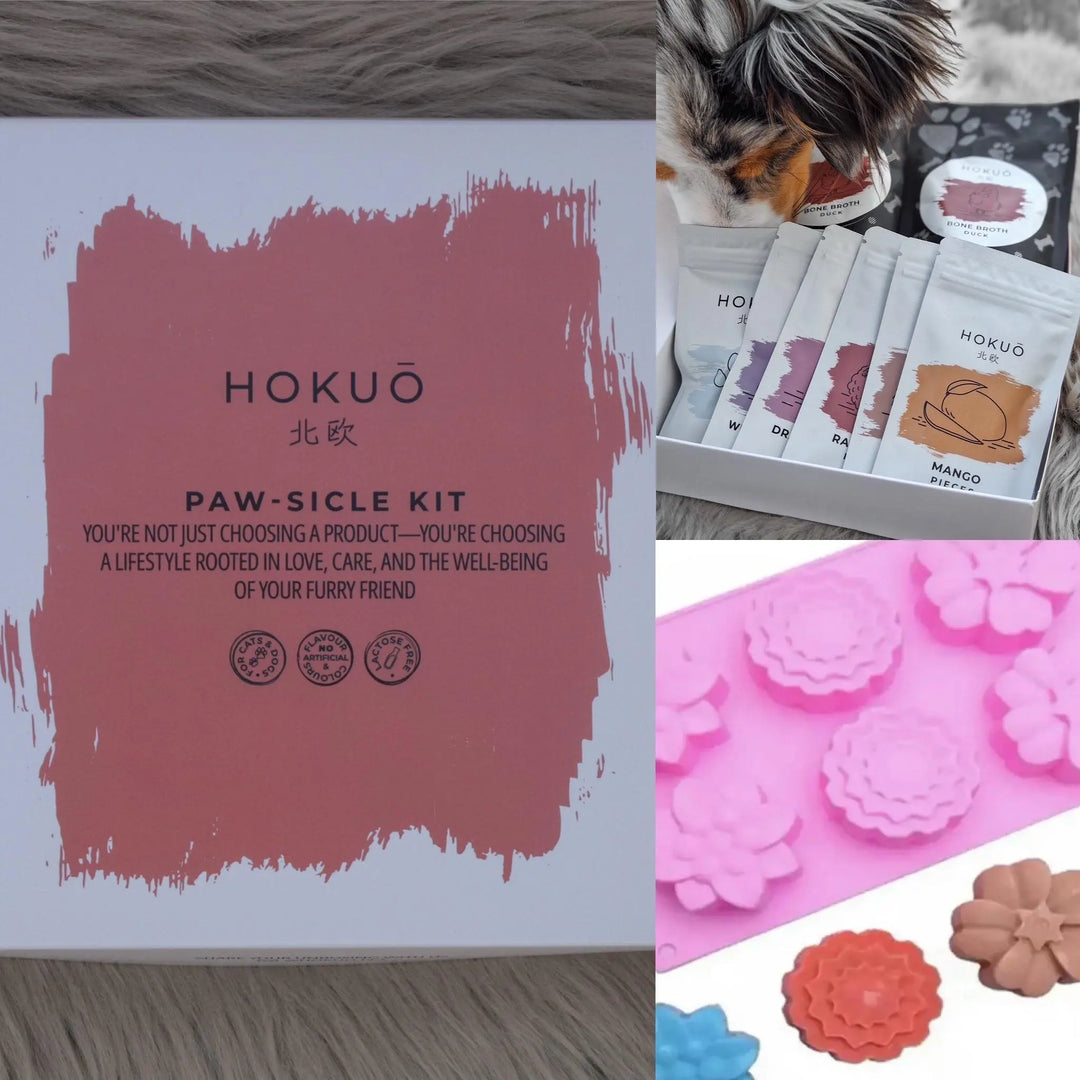 Sommerpakke | Paw-sicle kit + GRATIS valgfri isbitform |  |  Pawesomeday.no