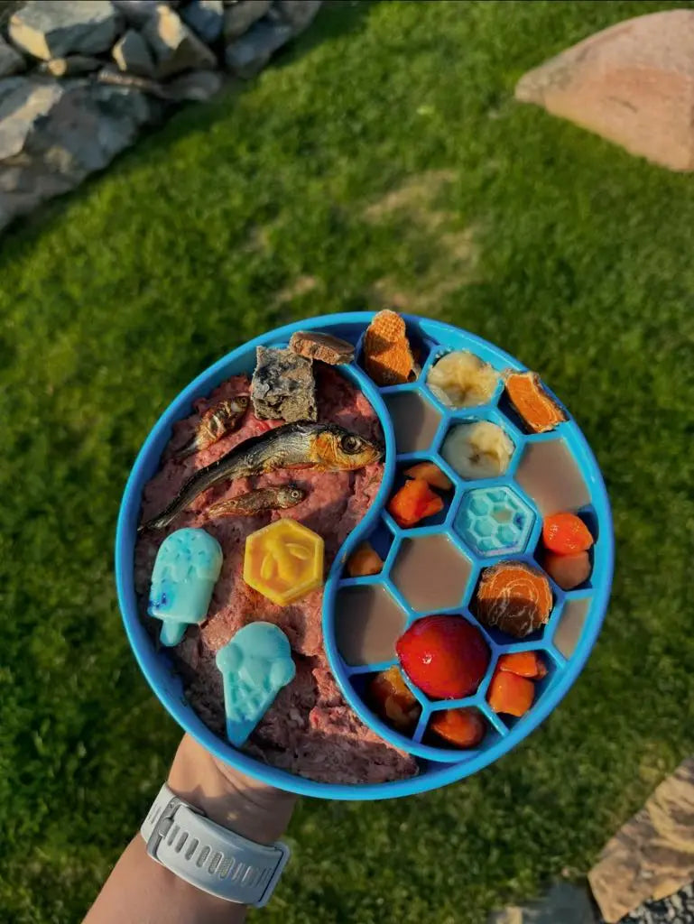 Hval slowfeeder til hund