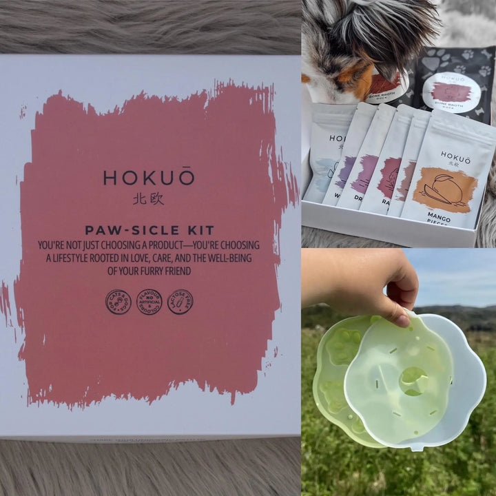 Sommerpakke | Paw-sicle kit + GRATIS valgfri isbitform |  |  Pawesomeday.no