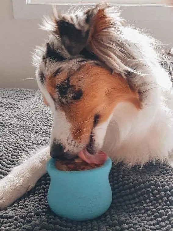 TOPPL Treat Toy - West Paw  |  Pawesomeday.no