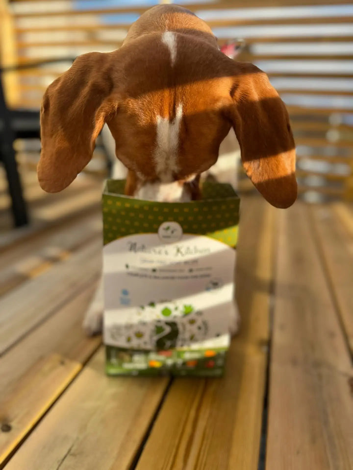 Pawfect Nature's Kitchen Frysetørket Mat for Hund – Geit  |  Pawesomeday.no