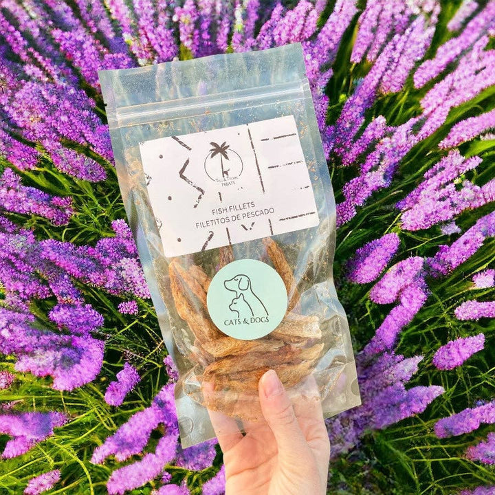 FISH FILLETS - Dehydrated natural snack for cats and dogs  |  Pawesomeday.no
