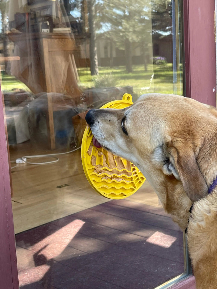 Sun n' Sea eMat Enrichment Lick Mat With Suction Cups  |  Pawesomeday.no