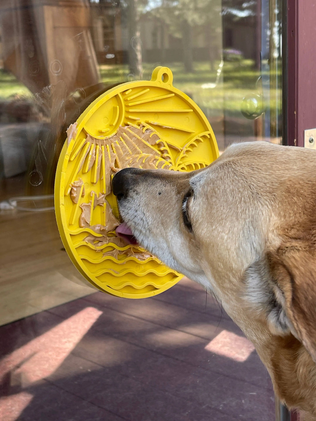 Sun n' Sea eMat Enrichment Lick Mat With Suction Cups  |  Pawesomeday.no