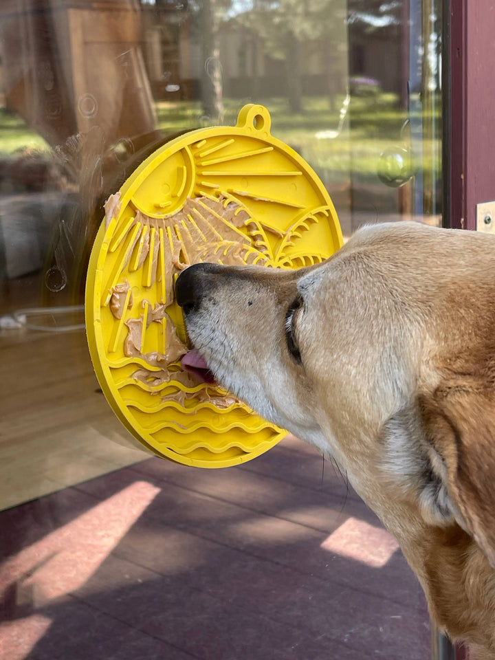 Sun n' Sea eMat Enrichment Lick Mat With Suction Cups  |  Pawesomeday.no