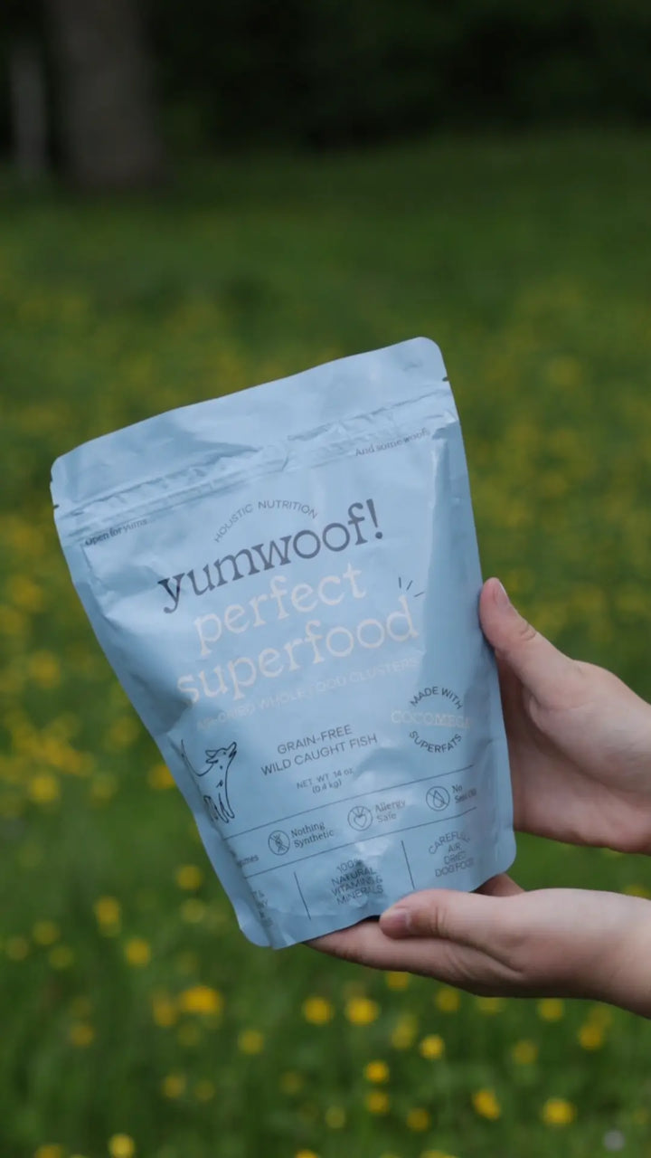 Yumwoof Perfect Superfood - Wild Caught Fish  |  Pawesomeday.no