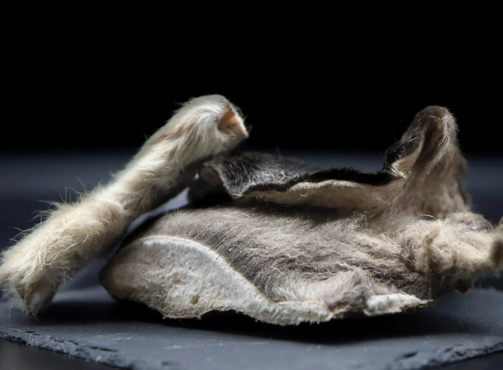 Frysetørket lammepanne med pels I Naturlig og smakfult tygg til hund  |  Pawesomeday.no