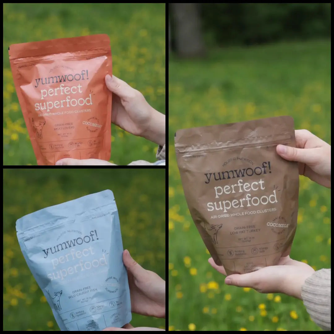 Yumwoof Perfect Superfood – Smakspakke med alle 3 smaker (3 × 400 g) – 15 % rabatt!  |  Pawesomeday.no