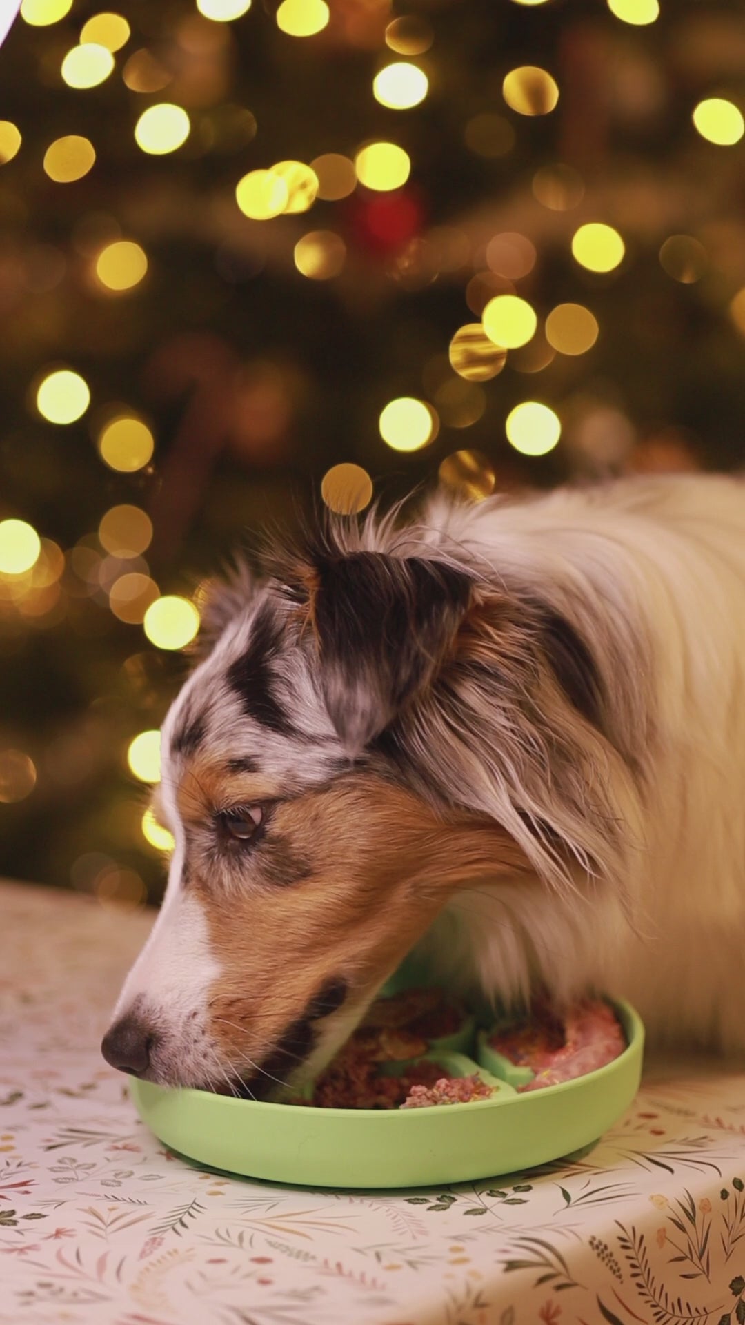 Pawesomeday slowfeeder | Slowfeeder til hund