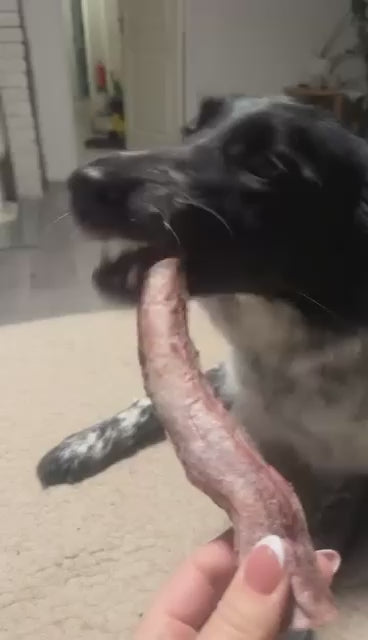 Frysetørket okse-pizzle – Naturlig og langvarig tygg til hund