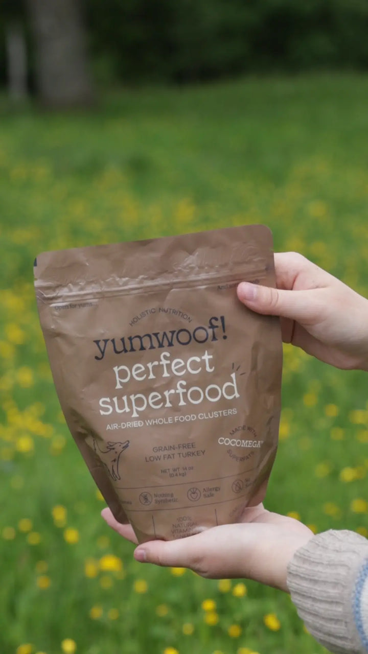 Yumwoof Perfect Superfood - Low fat turkey  |  Pawesomeday.no