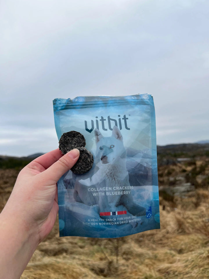 VitBit Collagen Crackers m/Blåbær 70g  |  Pawesomeday
